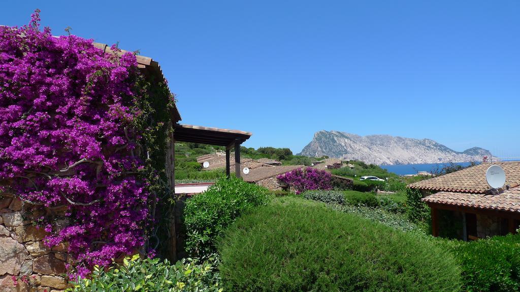 Casa Molara Villa San Teodoro  Room photo